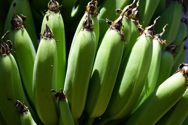 అరటి కూరగాయ | raw banana