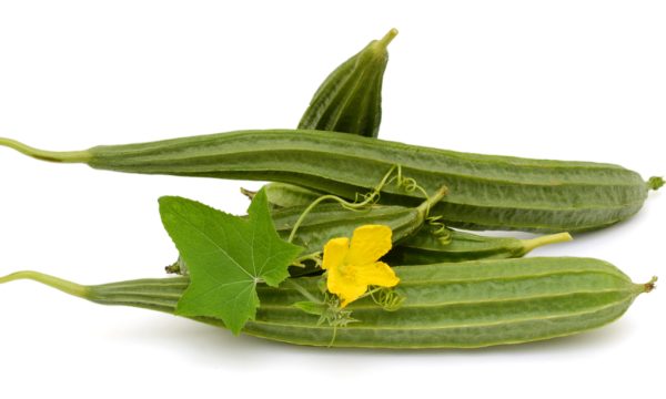 బీరకాయ | Ridged Gourd