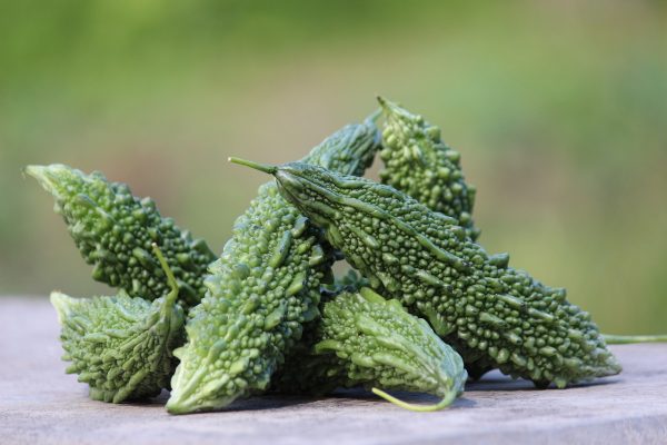 కాకరకాయ | Bitter Gourd