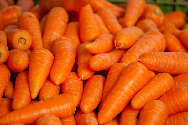 క్యారెట్ | Carrot