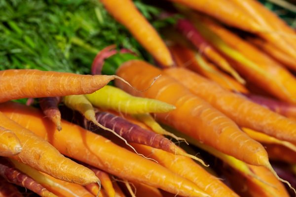 క్యారెట్ | Carrot - Image 2