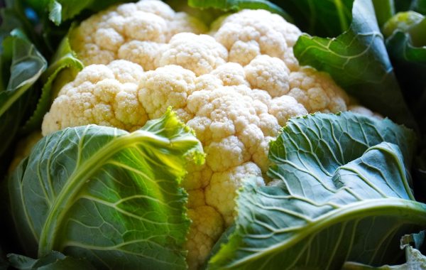 కాలీఫ్లవర్ | Cauliflower