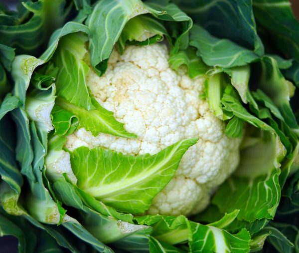 కాలీఫ్లవర్ | Cauliflower - Image 3