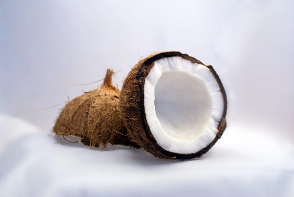 కొబ్బరి | Coconut