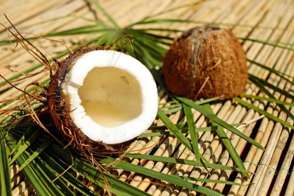 కొబ్బరి | Coconut - Image 2