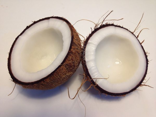 కొబ్బరి | Coconut - Image 4
