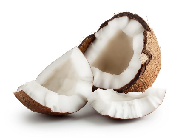 కొబ్బరి | Coconut - Image 3