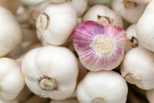 వెల్లుల్లి | Garlic - Image 4