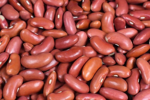 కిడ్నీ బీన్స్ | Kidney Beas - Image 2