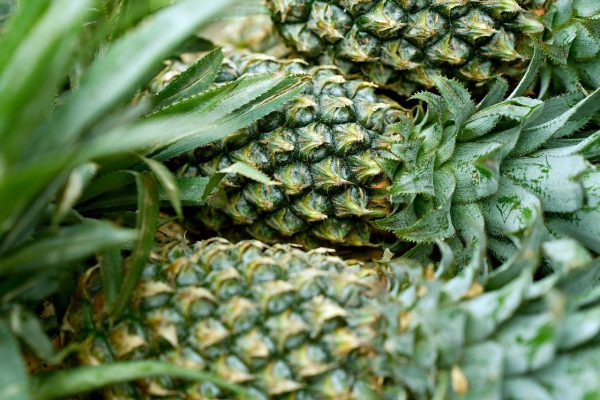 పైనాపిల్ | Pineapple - Image 3