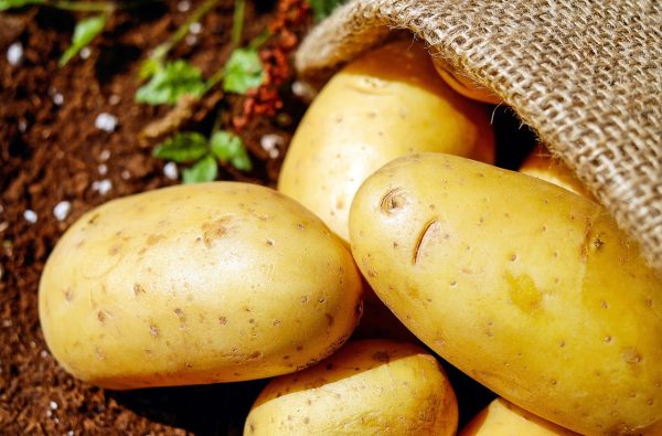 బంగాళదుంప | Potato - Image 2