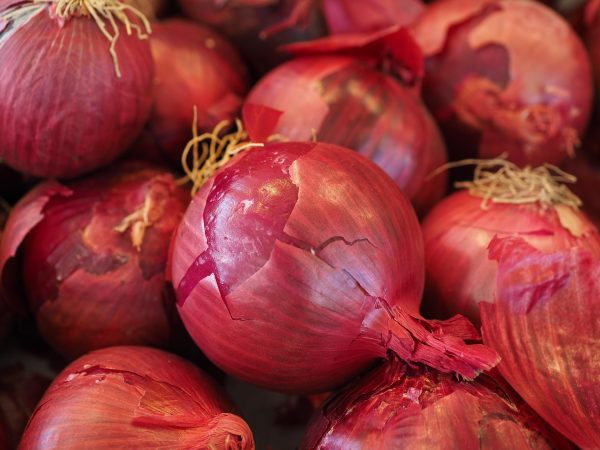 ఉల్లిపాయలు | Onions - Image 3
