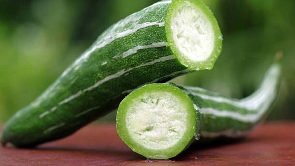 పొట్లకాయ | Snake gourd