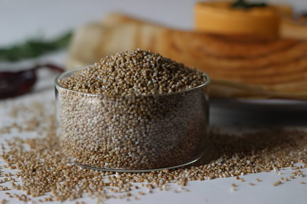 అరికెలు  | Kodo Millet