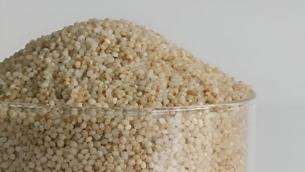 సామలు | Little Millet - Image 3