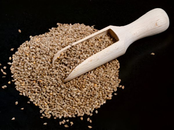 కొర్రలు | Foxtail Millet