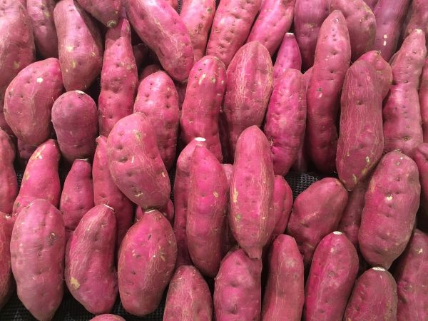 చిలగడదుంప | Sweet Potato