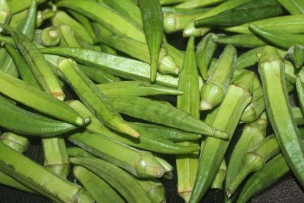 బెండకాయ | Ladies' Fingers - Image 2
