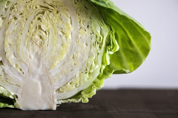 క్యాబేజీ | Cabbage - Image 2