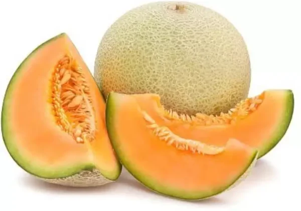 Cantaloupe/కర్బూజా