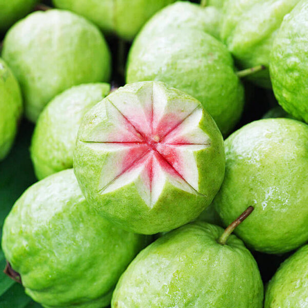 guava /జామ పండు