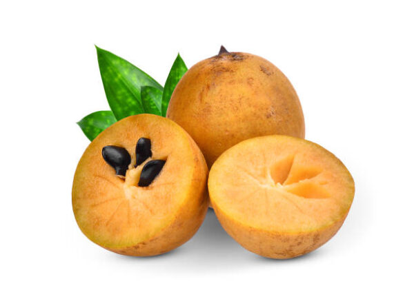 sapodilla/సపోటా పండు